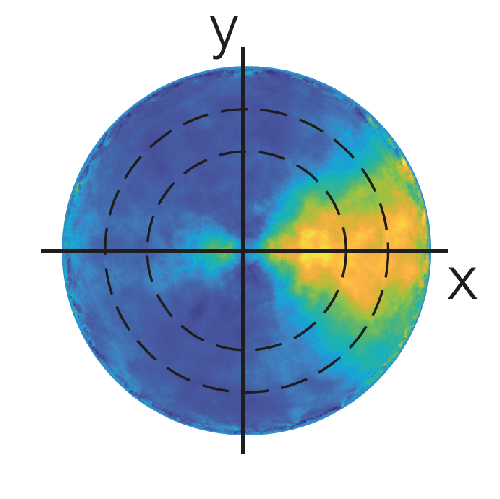 Estimate the attentional field